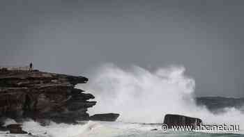 Sydney News: Dangerous surf predicted along NSW coastline, with widespread erosion feared - ABC News