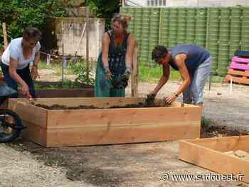 Izon : les habitants invités au jardin - Gironde - Sud Ouest