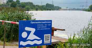 Giftige blauwalgen in insteekdok Vilvoorde: verboden te zwemmen - Het Laatste Nieuws