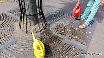 Bürger sollen Bäume in der Stadt Koblenz nicht gießen - SWR Aktuell