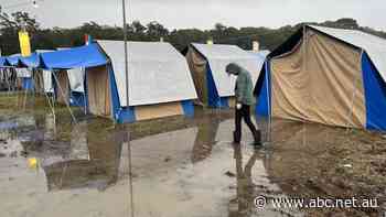 'Splendour in the mud': Campers redirected as wild weather causes chaos at NSW music festival