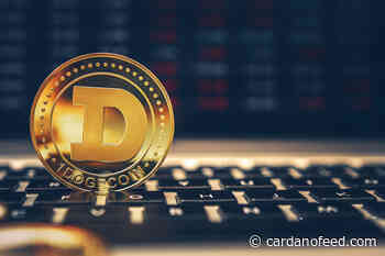 Biggest Movers: DOGE, ADA Move to Multi-Week Highs on Wednesday - Cardano Feed