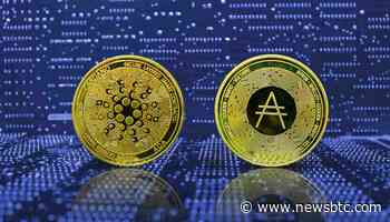 Majority Of Cardano (ADA) Holders In Loss As Price Slides To $1 - NewsBTC