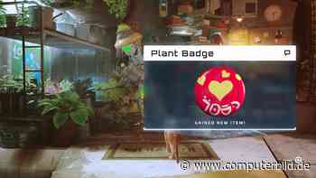 Stray Pflanzen: Alle Fundorte - COMPUTER BILD