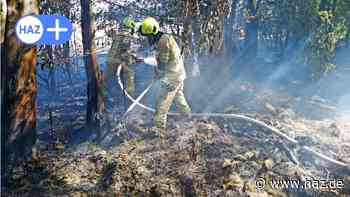 Feuerwehr in Laatzen: Feld und Waldstück bei Rethen gerät in Brand - HAZ