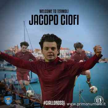 Un livornese per il Termoli: ingaggiato il 18enne attaccante Ciofi - Primonumero
