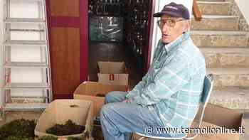 Termoli: In ricordo di Antonio Casolino - Termoli Online