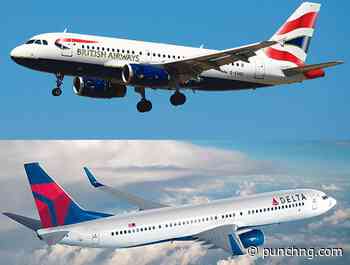 AON seeks FG’s intervention over aviation fuel, forex - Punch Newspapers