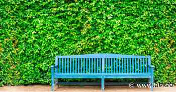 QR-codes vertellen straks 100 verhalen | Pittem | hln.be - Het Laatste Nieuws