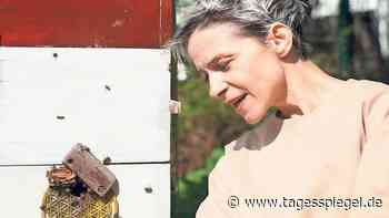 Augmented Reality im Gropius Bau: Honig tropft auf den Schuh - Kultur - Tagesspiegel