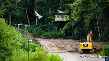 Flensburger Bahnhofswald: Gericht stoppt Hotel-Bau - NDR.de