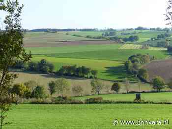 Provincie Limburg teleurgesteld over 'karige' toezegging stikstofgeld - Vroege Vogels - BNNVARA