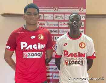 Serie D. News da Campodarsego, Luparense, Dolomiti, Montecchio ed Este - venetogol.it