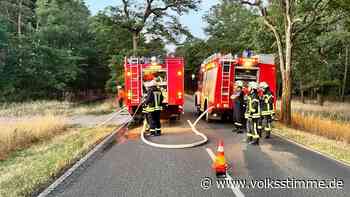 Gefährliche Situation: Polizei ermittelt: Mehrere Waldbrände bei Gardelegen und Kalbe - Zufall? - Volksstimme