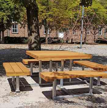 Die Pandemie verzögert die Projektumsetzung - Emmendingen - badische-zeitung.de