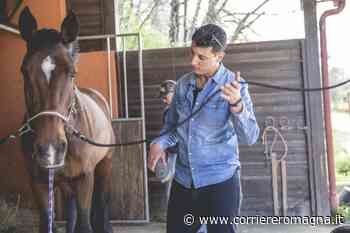 Irst, un progetto di Pet Therapy a cavallo a Bertinoro e Montescudo - CorriereRomagna