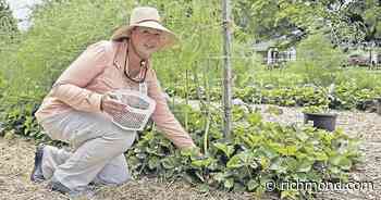 Master Gardener brings 'farm to table' experience to Covenant Woods - Richmond Times-Dispatch