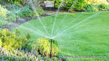 Master gardener training classes begin Aug. 26 - Orange Leader - Orange Leader