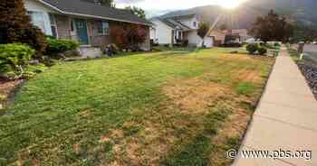 Modern Gardener | How to Save Water During the Drought | Episode 67 - PBS