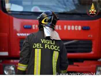 Vasto incendio boschivo ad Acqui Terme, in strada della Valle - Telecity News 24