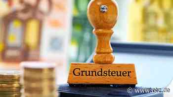 Kolumne: Das Finanzamt will ja doch gestört werden