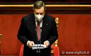Fedagro con Di Pisa: "Delusione per le dimissioni di Draghi" - Myfruit.it