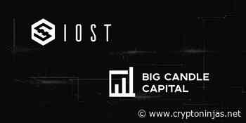 IOST sets up $100M fund to push growth of EVM multi-chain ecosystem - CryptoNinjas