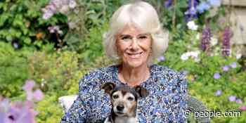 Camilla, Duchess of Cornwall Shares a Surprise Photo Costarring Her Dog Beth for 75th Birthday - PEOPLE