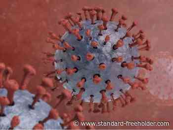 COVID-19 stable across the area - Cornwall Standard-Freeholder