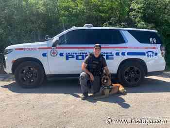 Durham Police's newest K9 officer ready to collar criminals in Ajax and across the region | inDurham - insauga.com