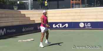 Rafael Nadal wagt schon jetzt die Rückkehr auf den Tennisplatz - FOCUS Online