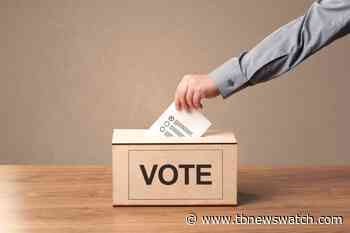 Oliver Paipoonge scraps paper ballots and in-person voting - Tbnewswatch.com