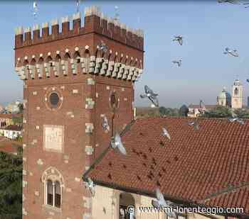 Rho. Cultura, dal Comune 20mila euro di finanziamenti per gli eventi delle associazioni cittadine - MI-LORENTEGGIO.COM - LE ULTIME NOTIZIE DI CRONACA, POLITICA, ANNUNCI, SPORT, FOTO E VIDEO DI MILANO E LA LOMBARDIA - Mi-Lorenteggio