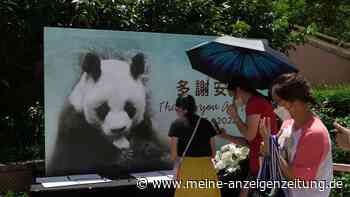 Hongkonger Panda An An im Alter von 35 Jahren gestorben