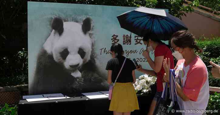Hongkonger Panda An An im Alter von 35 Jahren gestorben