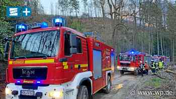 Waldbrandgefahr im Raum Brilon und Winterberg extrem hoch - WP News