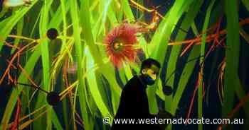 Vic exhibit connects visitors to country - Western Advocate