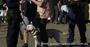 Festival-goers launch strip-search lawsuit - Western Advocate