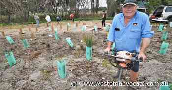 Bathurst community tree planting days add nearly 1500 trees in six months - Western Advocate