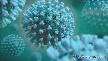 'It's something we haven't seen in a while': New BA.5 omicron subvariant carries a symptom from the delta variant wave - WFAA.com