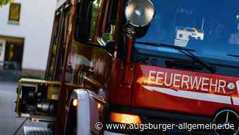 Wertingen: Feuerwehreinsatz: Katze schaltet Herd an - Rauch steigt aus Familienhaus | Donauzeitung - Augsburger Allgemeine