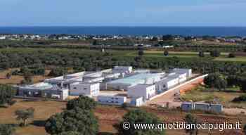 Depuratore Manduria-Sava, i dubbi di Arpa: «Le fonti aperte sono un rischio» - quotidianodipuglia.it