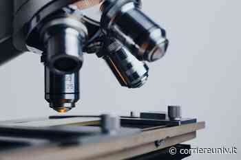 Due medaglie di argento per l’Italia alle Olimpiadi di Biologia: Cremona e Bologna sul podio - CorriereUniv.it