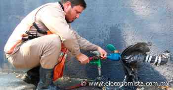 En Agua y Drenaje de Monterrey utilizarán inteligencia artificial para modular la presión de la red - El Economista