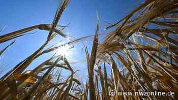 Wetterkapriolen Varel: Berichte im Gemeinnützigen - Nordwest-Zeitung