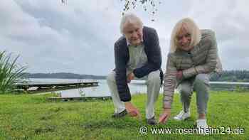 „Unheimlich viel Kot“: Gänsedreck am Pelhamer See sorgt für Unmut - So reagiert das Landratsamt