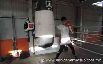 Se alista gran función de box en Hermosillo - El Sol de Hermosillo