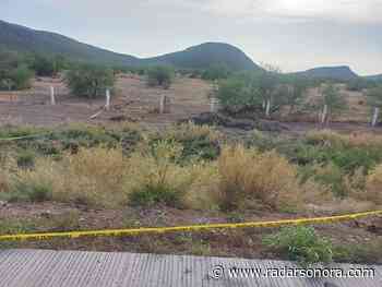 Hallan restos humanos en carretera Guaymas-Hermosillo - Radar Sonora