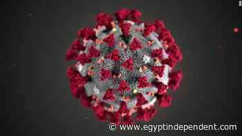 Coronavirus cases on the rise: official - Egypt Independent