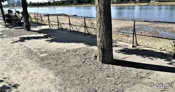 Bonn: Stadt füllt Baumscheiben am Rheinufer in Beuel mit Splitt auf​ - General-Anzeiger Bonn